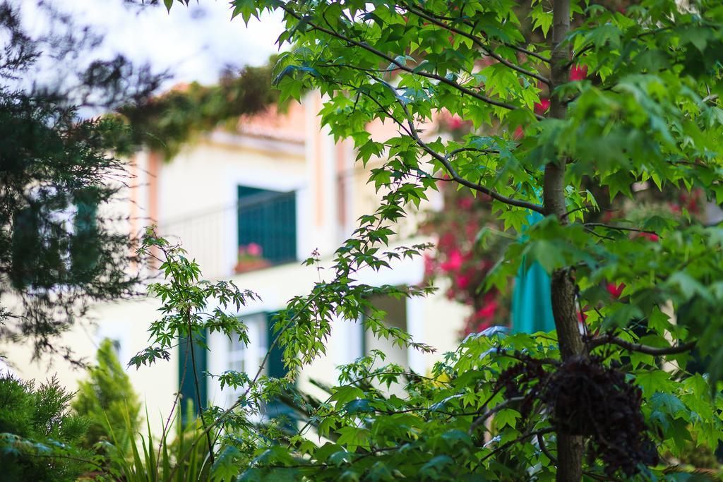 São Vicente Casa Da Portadaヴィラ エクステリア 写真